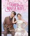Tamed By My Mafia Wife Chinese Drama - English Sub