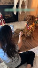 Les guirlandes de Noël