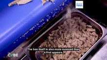 Viral posts mislead on Italy's 'lab-grown meat' ban