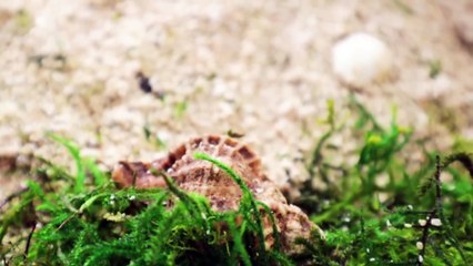 Simulating a Beach for 30 Days 🎬❤️⏰👨‍👨‍👧‍👧