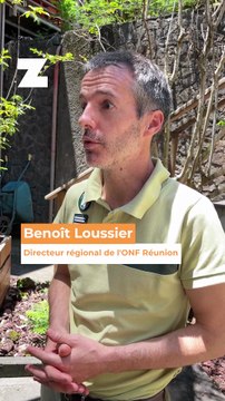 Sentiers ouverts ou fermés : l'ONF lance sa nouvelle carte interactive