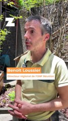 Sentiers ouverts ou fermés : l'ONF lance sa nouvelle carte interactive