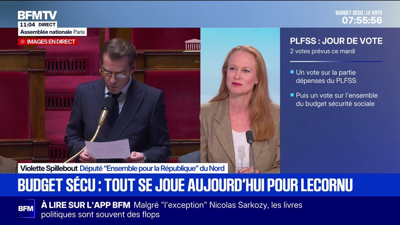Budget: Violette Spillebout, députée Ensemble, espère que le vote "soit un signe de plus de stabilité"