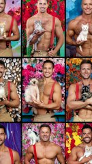 The Australian firefighters' calendar