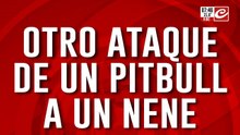 Pitbull atacó a una criatura y le desfiguró la cara. Mirá el momento del ataque
