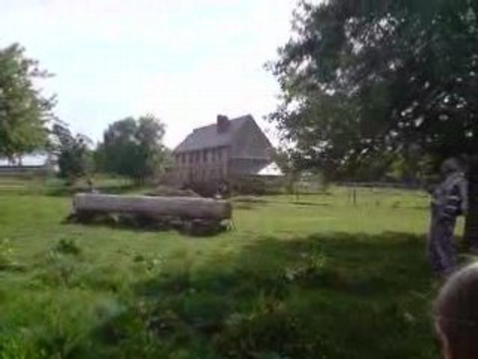 Loony de la mare et apolls  saut cross cheval