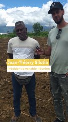 La canne bio, "c'est réalisable"