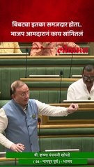 बिबट्याच्या प्रश्नावर चर्चा.. विधानसभेत कृष्णा खोपडेंनी काय सांगितलं?