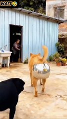 এটা আবার কে করলি রে ভাই🤣😂