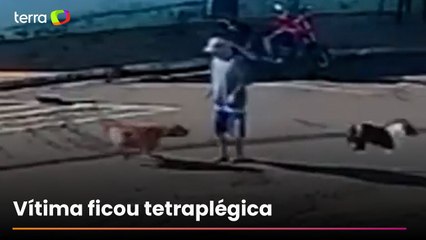 Idoso ‘atropelado’ por cachorro morre quatro meses após acidente em Piacatu (SP)