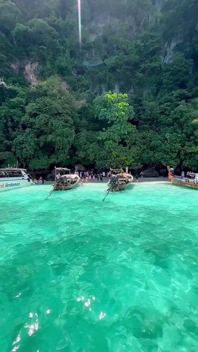 Paradise Found! 🏝️