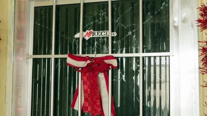 Violência Doméstica e Insegurança: Mulher Sofre Ameaças e Agressões do Ex-Companheiro após Separação