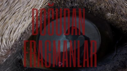 Doğudan Fragmanlar Fragman