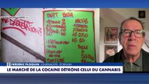 Frédéric Ploquin : «Pour l’année 2025, on a saisi 70 tonnes de cocaïne en France»