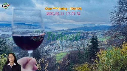 「TravelPZ」 Review Zurich City and Surroundings Half-Day Tour with Ferry and Cable Car Ride