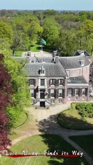 Love Always Finds its Way ｜ DramaWave