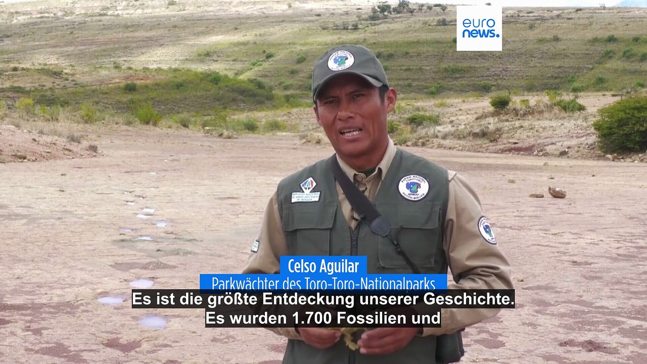 Mega-Dino-Fund: Forscher entdecken gigantisches Fossilien-Netzwerk