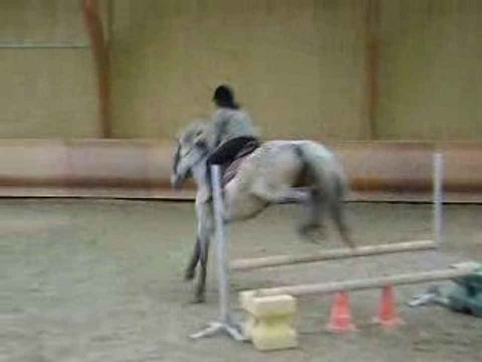 Pastille et moi en saut