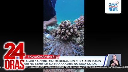 Lalaki sa Cebu, tinuturukan ng suka ang isang uri ng starfish na nakakasira ng mga coral | 24 Oras