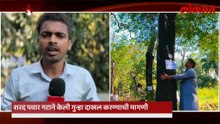 ठाणे मनोरुग्णालयातील शेकडो वृक्षांची होणार कत्तल; पर्यावरण प्रेमी नाराज काय आहे कारण?