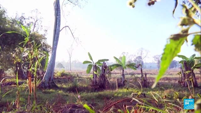 Tailandia y Camboya: nueva escalada en el conflicto, siguen las violaciones al cese al fuego