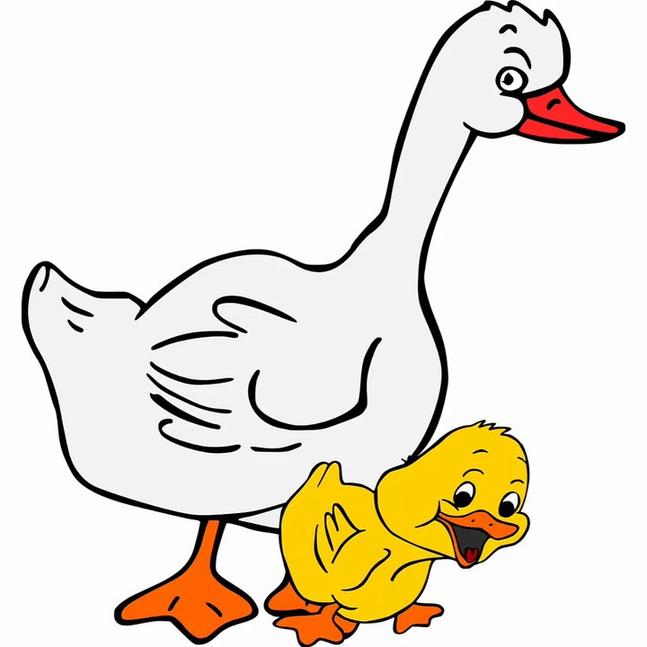 SERDAR ŞİMŞEK MÜZİKLİ SEVİMLİ ÖRDEK KAZ TAVŞAN KARİKATÜRLERİ