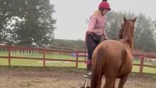 Hilarious training mishap as pony refuses to cooperate and kicks away stool in defiance