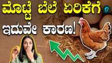 EGG PRICE: ಮೊಟ್ಟೆ ಬೆಲೆ ದುಬಾರಿಯಾಗಿದ್ಯಾಕೆ? ಇಲ್ಲಿದೆ ಸತ್ಯಾಂಶ
