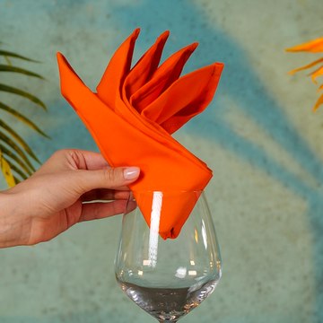 Impress your guests with these amazing napkin foldings