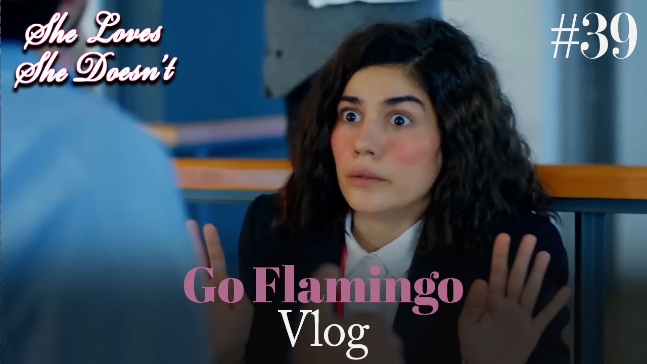 Go Flamingo Vlog #39