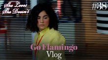 Go Flamingo Vlog #38