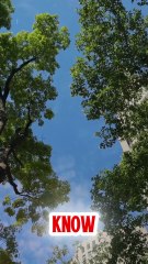 “Stop Giving Up on Yourself — You’re Not Done Yet”