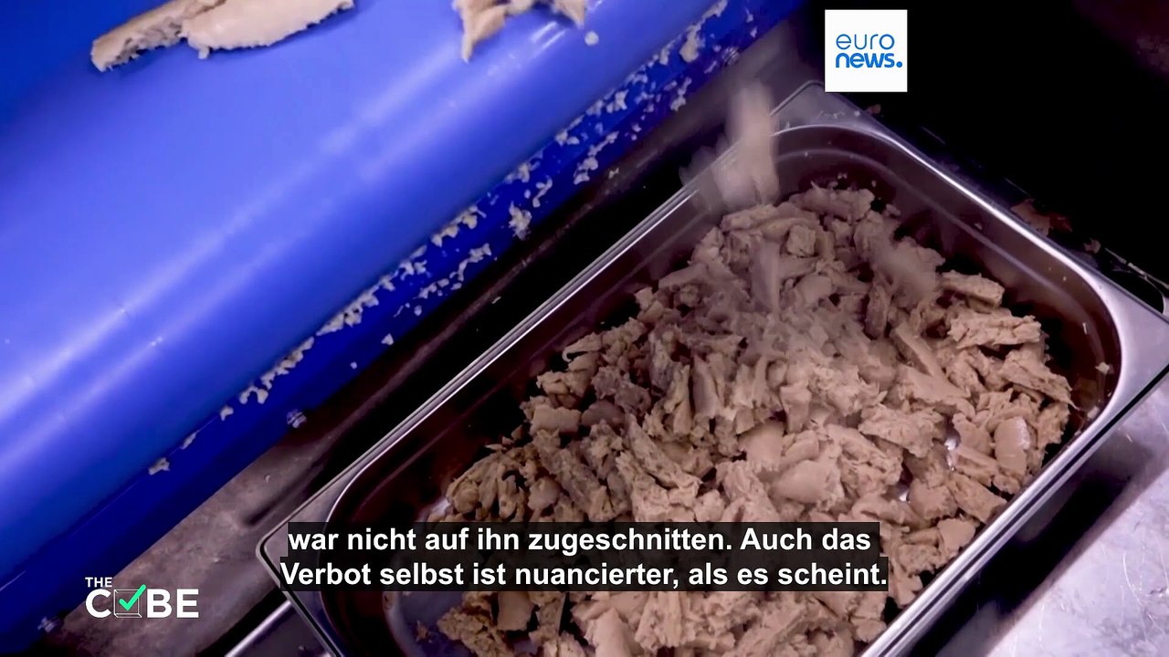 Virale posts über meloni: hat italien "laborfleisch" verboten?