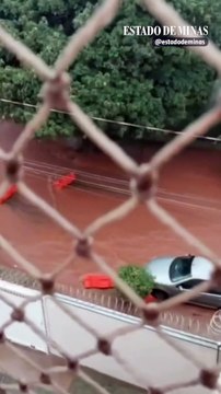 Temporal em Uberlândia derruba árvore e deixa bairros em alerta