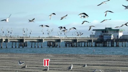 Why Living Alone Beats Any Relationship | A Life-Changing Speech on Self-Love & Emotional Freedom