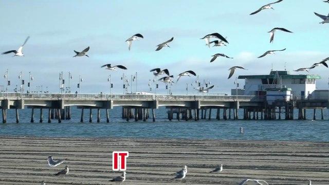 Why Living Alone Beats Any Relationship | A Life-Changing Speech on Self-Love & Emotional Freedom