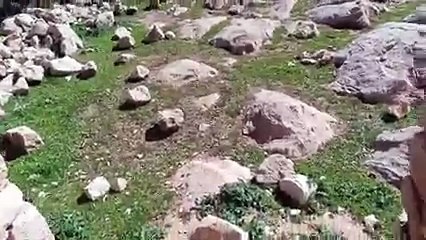 #video tidili massfioua morocco