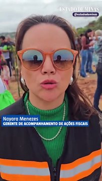 Estrada do Sanatório recebe plantio de mudas em projeto de revitalização urbana