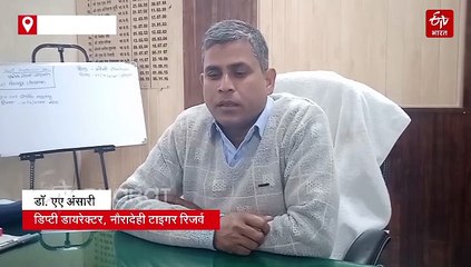 बाघों का पता चलेगा खानदान, स्कैट से होगी DNA की प्रोफाइलिंग, नौरादेही में लगे कैमरा ट्रैप