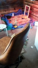 We eventually got Tooey because of Lemongrab's separation anxiety. Poor little guy. :( | #SparklegleamFarm #Lemongrab #homestead #geese #farmanimals #UNACCEPTABLE #cute