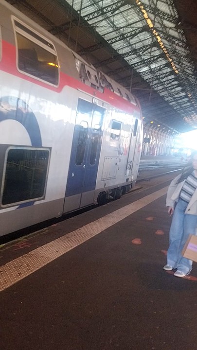 Arrivée d'un train en gare de Toulouse