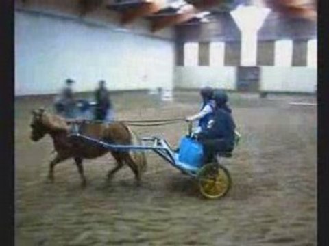 1er concours d' attelage de Margaux aux Elfes Blancs - 4e