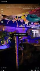 Wild Ride With The Dangerous Kian Full Movie