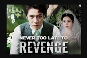 Never Too Late To Revenge reel