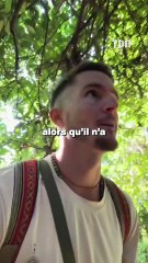 Après le divorce de Jessica et Thibault, Logan Thivenin rétablit la vérité et dévoile les coulisses de la rupture