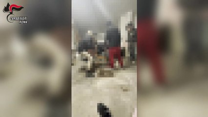 Roma, torture nel garage e attentato dinamitardo ordinato dal carcere: 11 arresti (09.12.25)