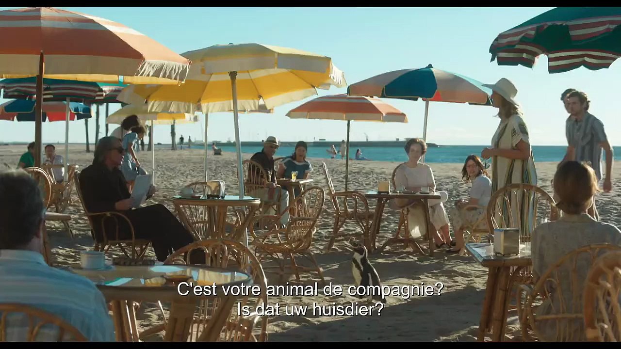 The Penguin Lessons: Trailer HD VO st FR/NL