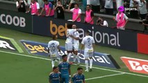 Santos 3-0 Cruzeiro | Resumen | Brasileirao