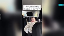 Scottish Toddler Learns to Say ‘aye’ in Adorable Backseat Moment