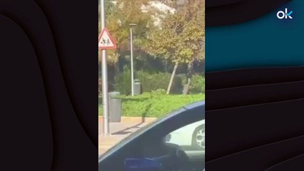 La cárcel vieja de Palma convertida en un hotel: personas con maletas se hospedan entre ratas y basura